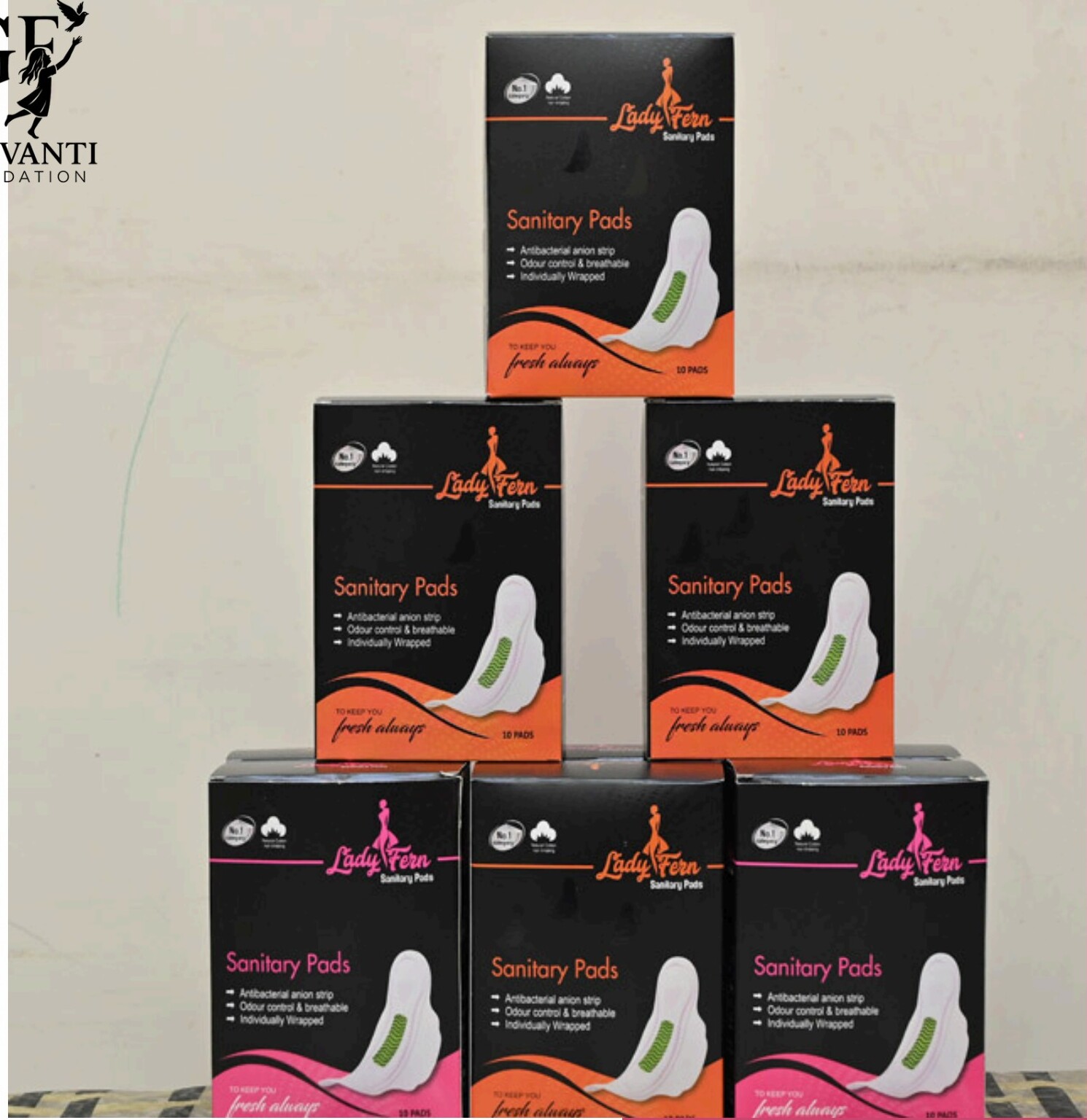 Lady Fern Sister Pack — full pyramid