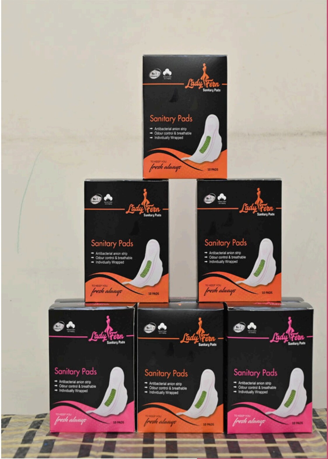 Lady Fern Family Combo — pyramid stack