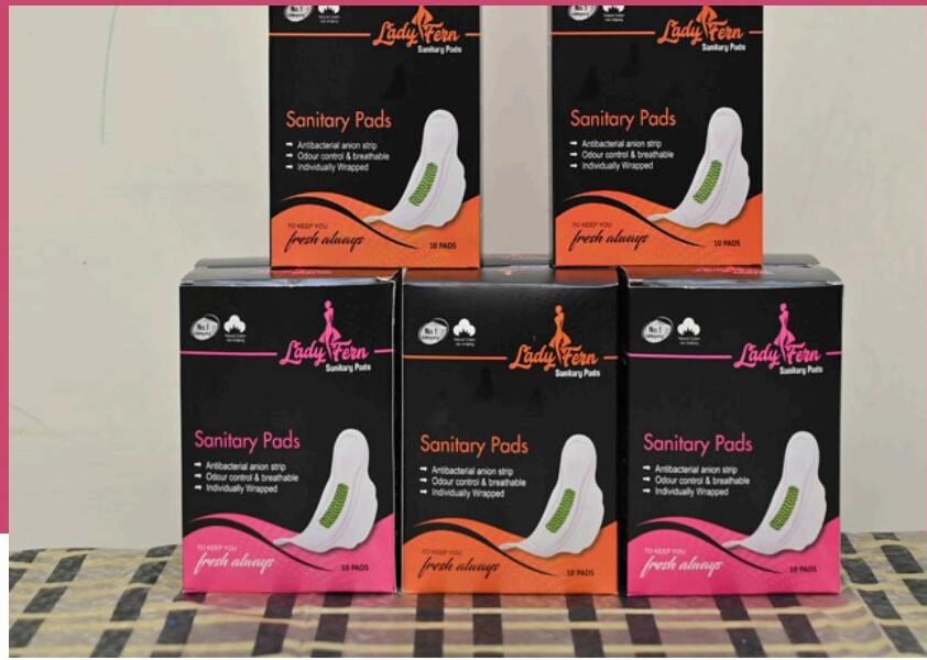 Lady Fern Family Combo — boxes arranged