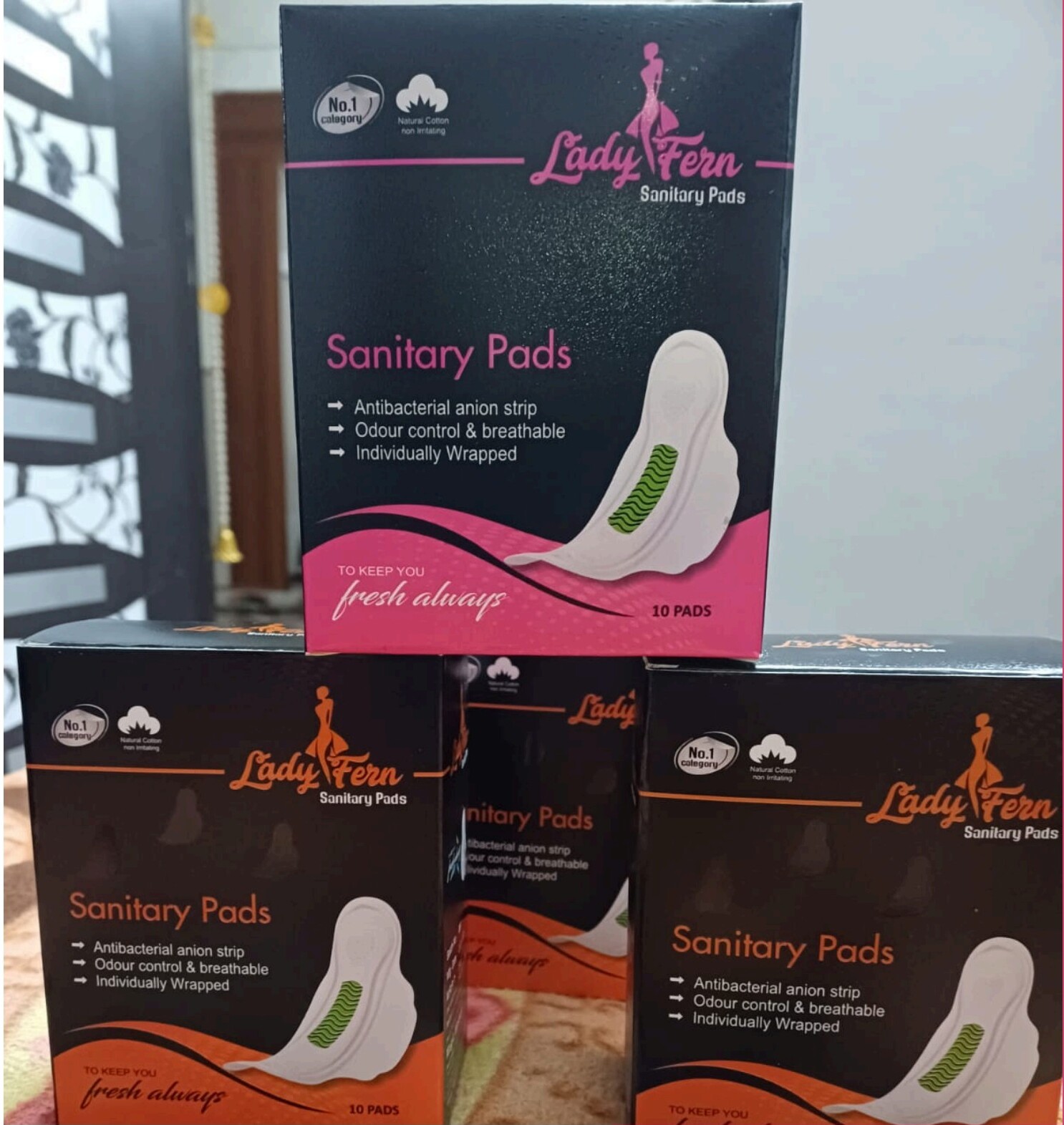 Lady Fern Sister Pack — large stack