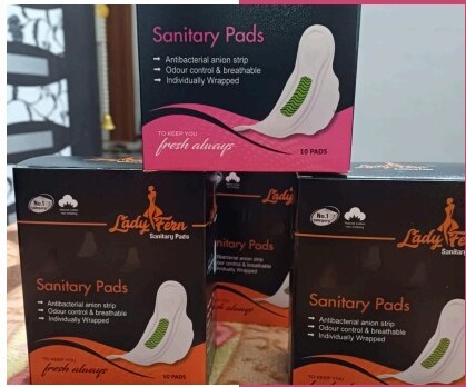 Lady Fern Family Combo — 6 boxes